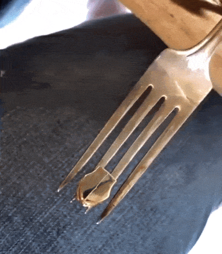 11 Discoveries From Internet Users That the Entire World Needs to Know Right Now