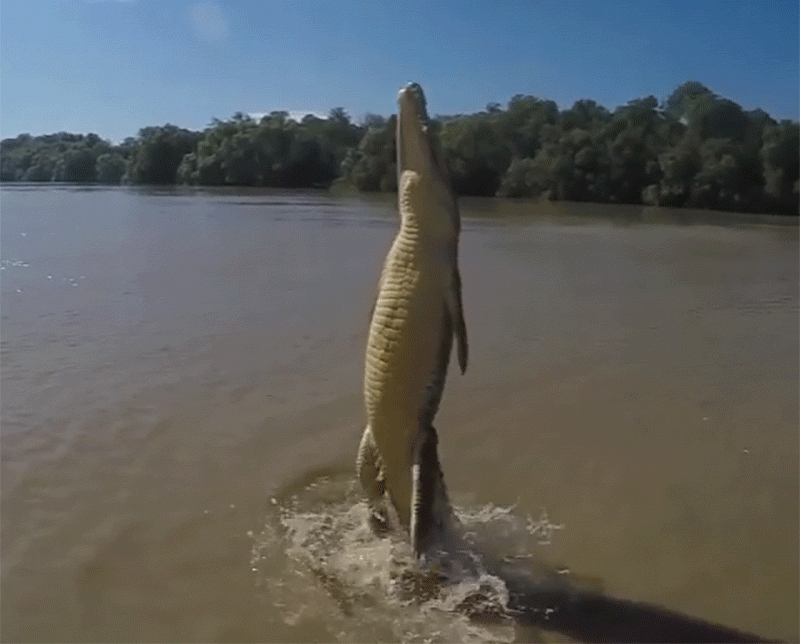 21 Convincing Reasons to Love Australia From Afar