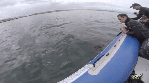 27 Photos of Situations We Couldn’t Explain Even If We Tried