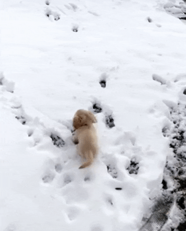 28 Icy Photos Proving Winter Is Not for the Faint-Hearted