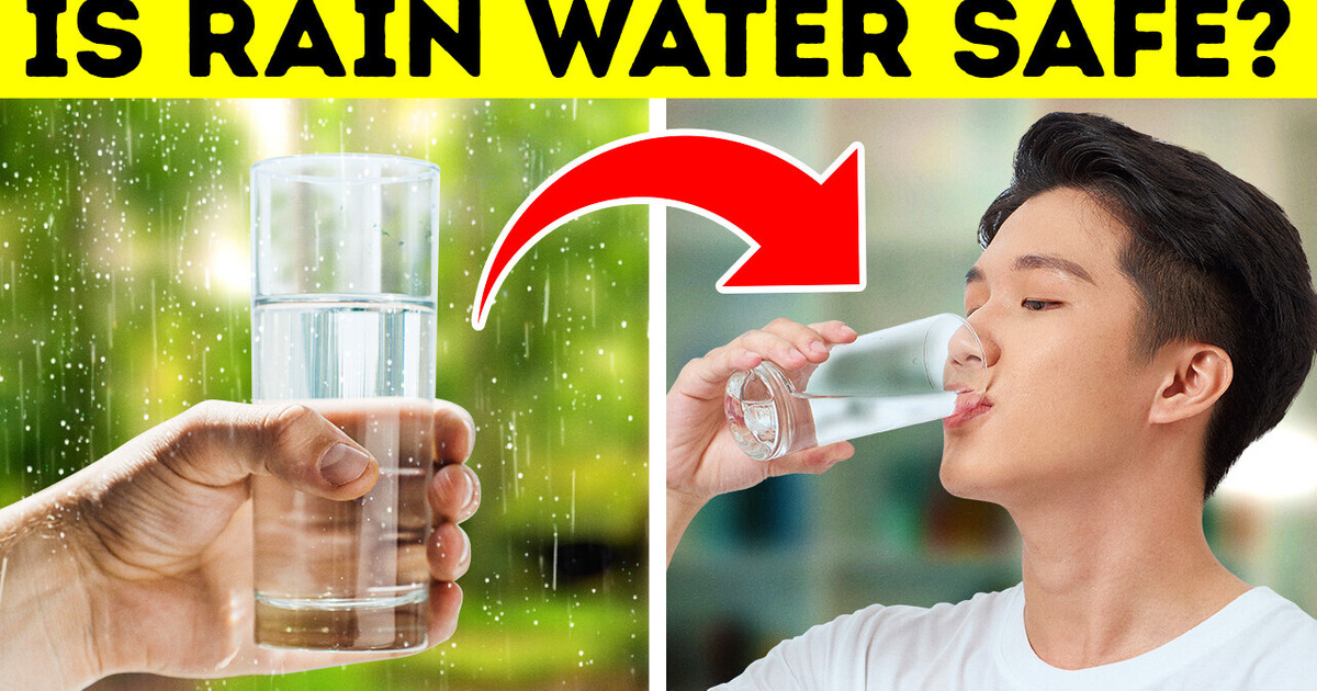 Can You Drink Rainwater + 20 Cool Body Facts / Bright Side