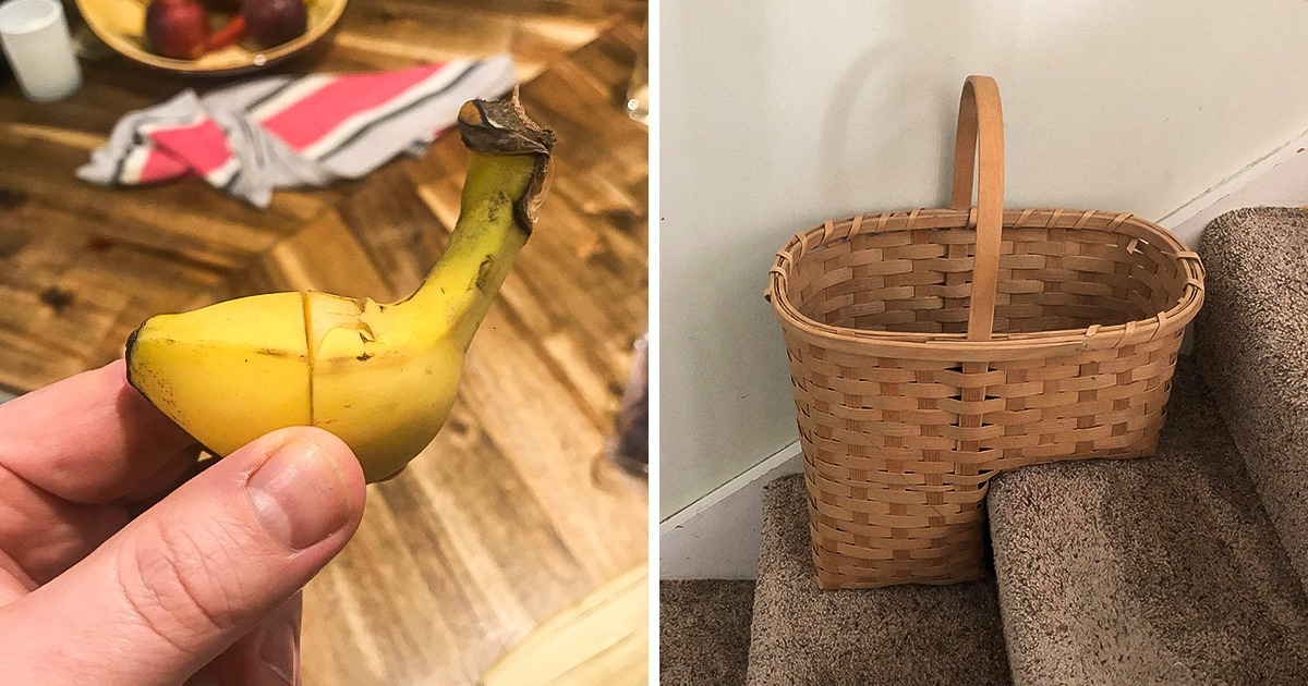 22 Perfect Fits That Are the Definition of a Match Made in Heaven