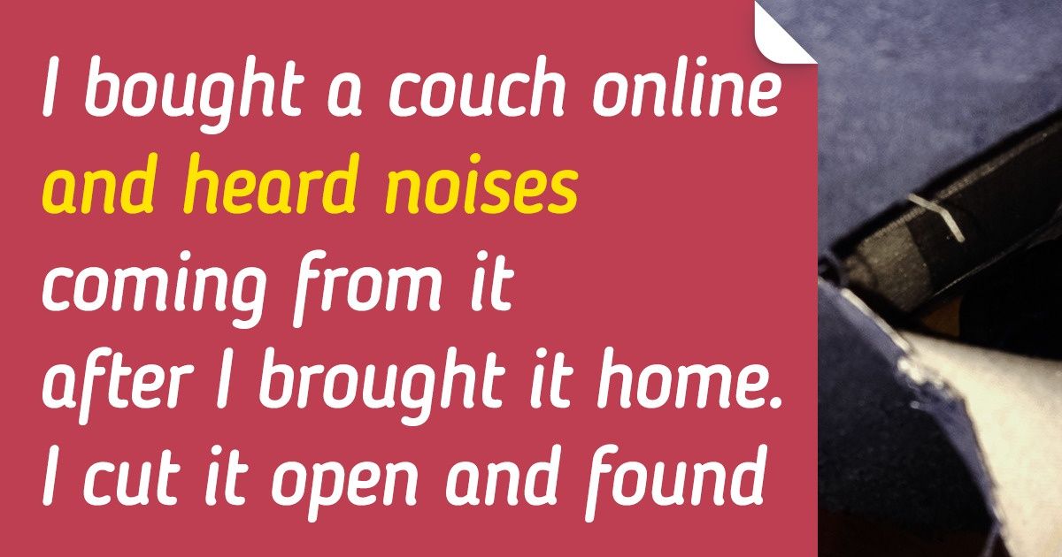 20+ Lucky People Revealed the Treasures They Found Online 20+ Lucky People Revealed the Treasures They Found Online