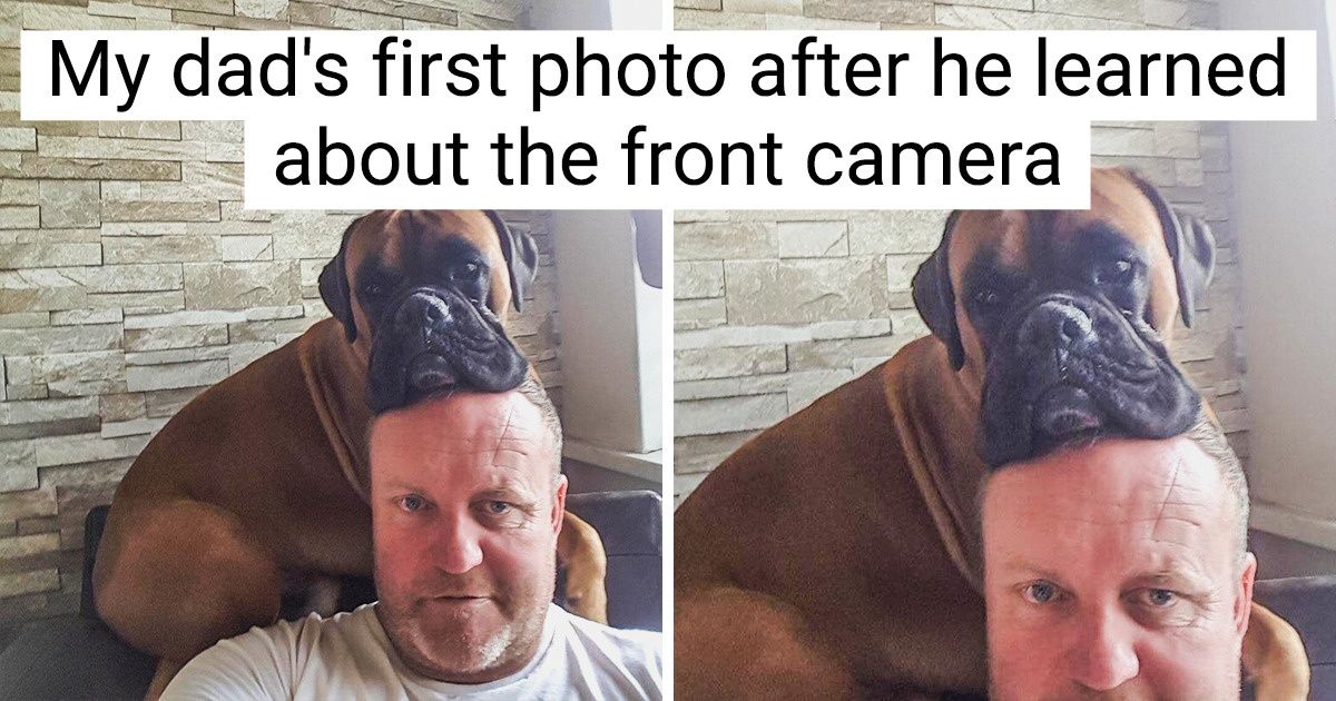 20+ Pics That May Win Your Heart With Their Charisma