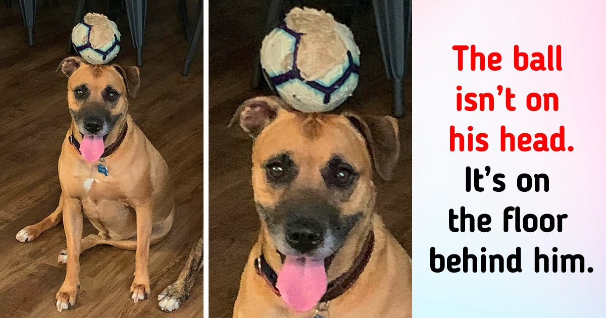 15 Real Life Brain Teasers That Were Captured in a Photo
