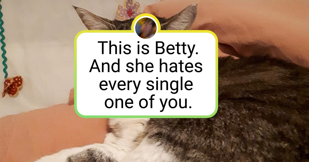 20 Pets That Deserve an “Oscar” for Their Emotional Range