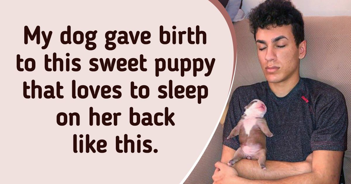 19 People Who Can’t Spend a Night Without a Hug From Their Beloved Pets
