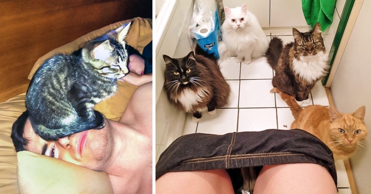 20+ Shameless Animals We Love Despite Everything