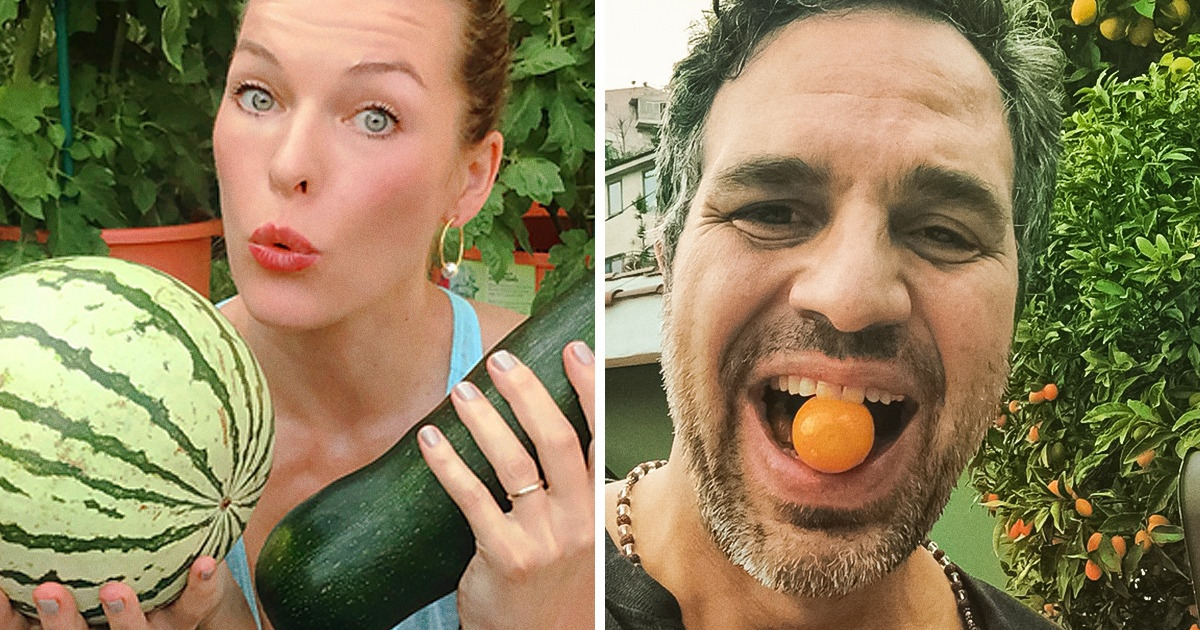 15 Celebrities Who’ve Started Growing Their Own Fruits and Vegetables at Home 15 Celebrities Who’ve Started Growing Their Own Fruits and Vegetables at Home
