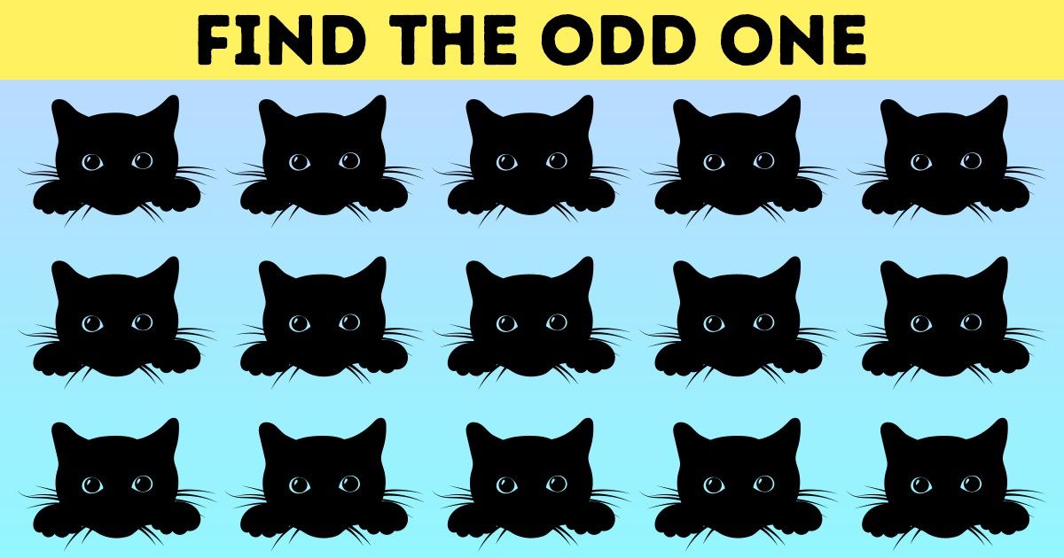 Test: Find the Odd One Out in Less Than 10 Minutes Test: Find the Odd One Out in Less Than 10 Minutes