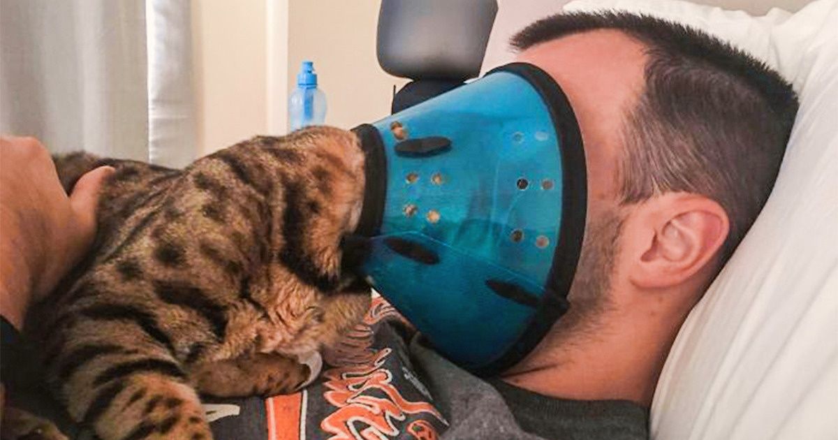 20 Pets Who Have Zero Tolerance for Their Owners’ Personal Boundaries