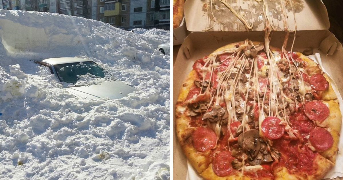 12 Hapless People Who Know Everything About Despair Now