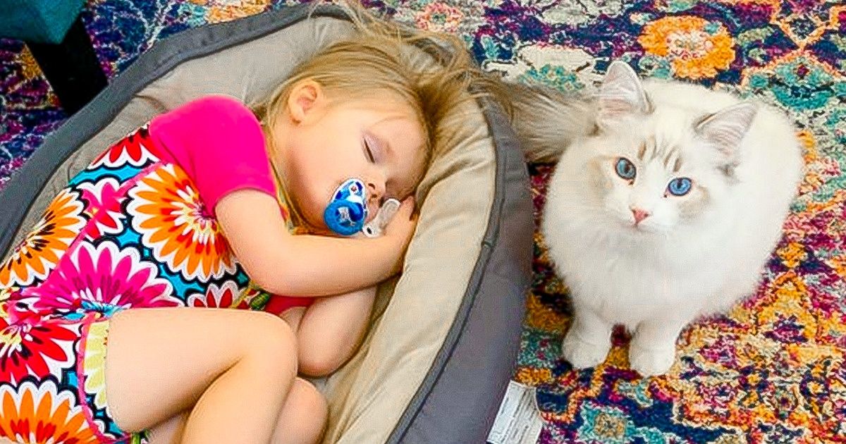 18 Pets That Got a Complete Mess Instead of a Normal Owner 18 Pets That Got a Complete Mess Instead of a Normal Owner