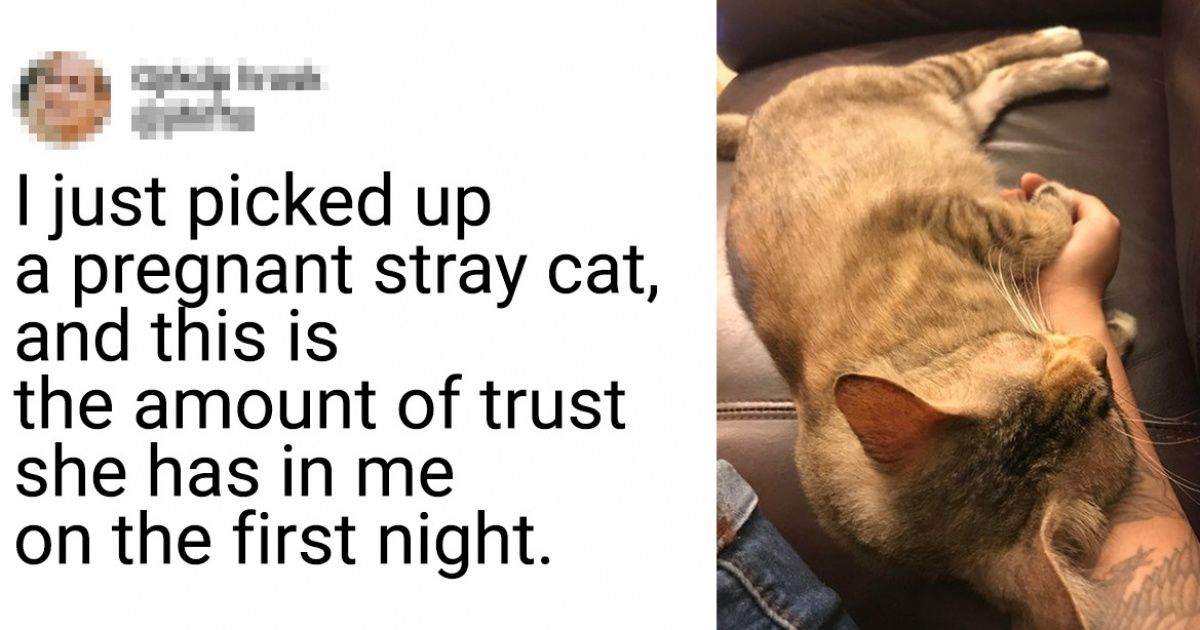 18 Acts of Kindness That Make This Autumn a Little Warmer
