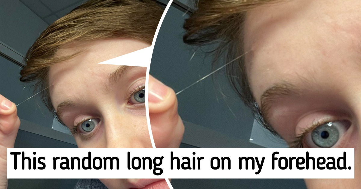 15+ Times People Happened Across Something Unusual and Wanted to Share It