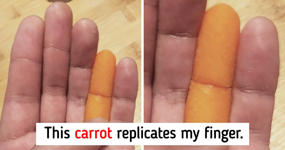 17 People Who Could Be the Winners of a Coincidence Contest