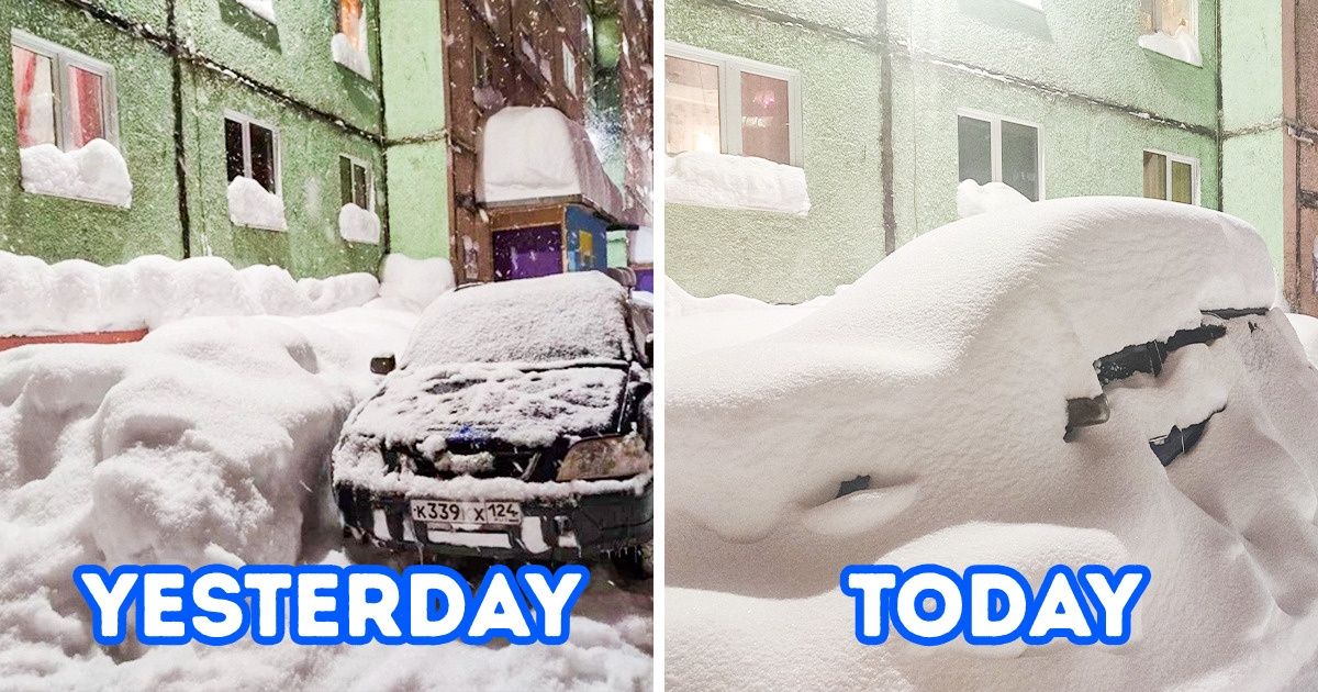 20 Snowy Photos That’ll Turn Your Winter Spirit On
