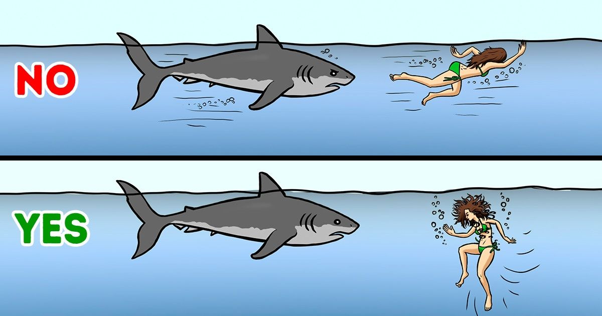 12 Techniques That Will Help You Survive a Deadly Battle With an Animal