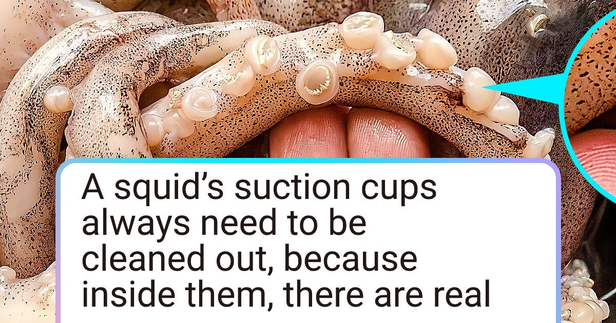 16 People Who Saw Things That They Didn’t Believe With Their Own Eyes