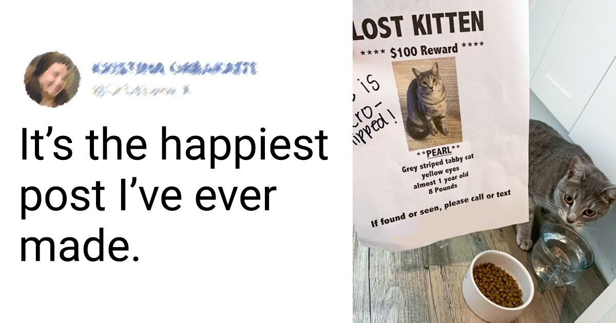 18 Reddit Posts That Are Spreading Good Vibes Faster Than the Speed of Light