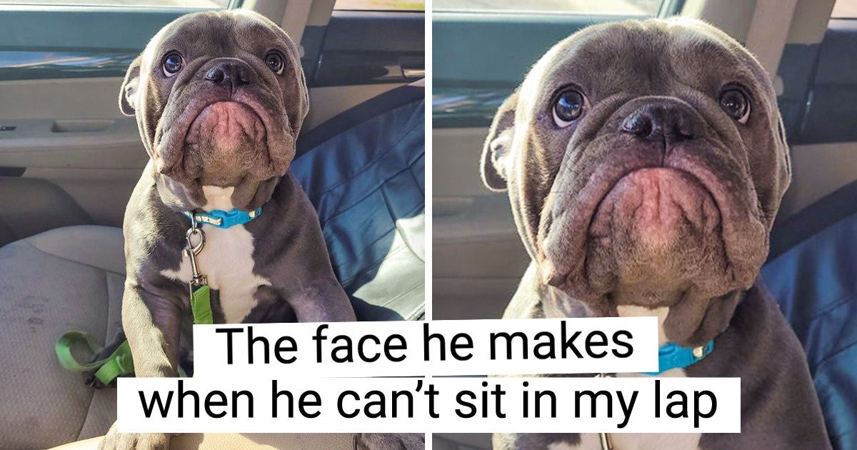 18 Photos That Will Boost Your Happy Hormones