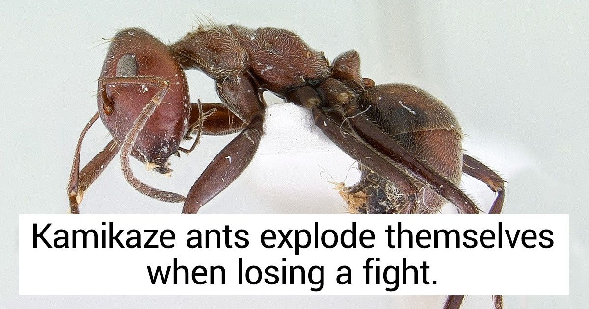 14 Cool Facts Your Biology Teacher Didn T Tell You About