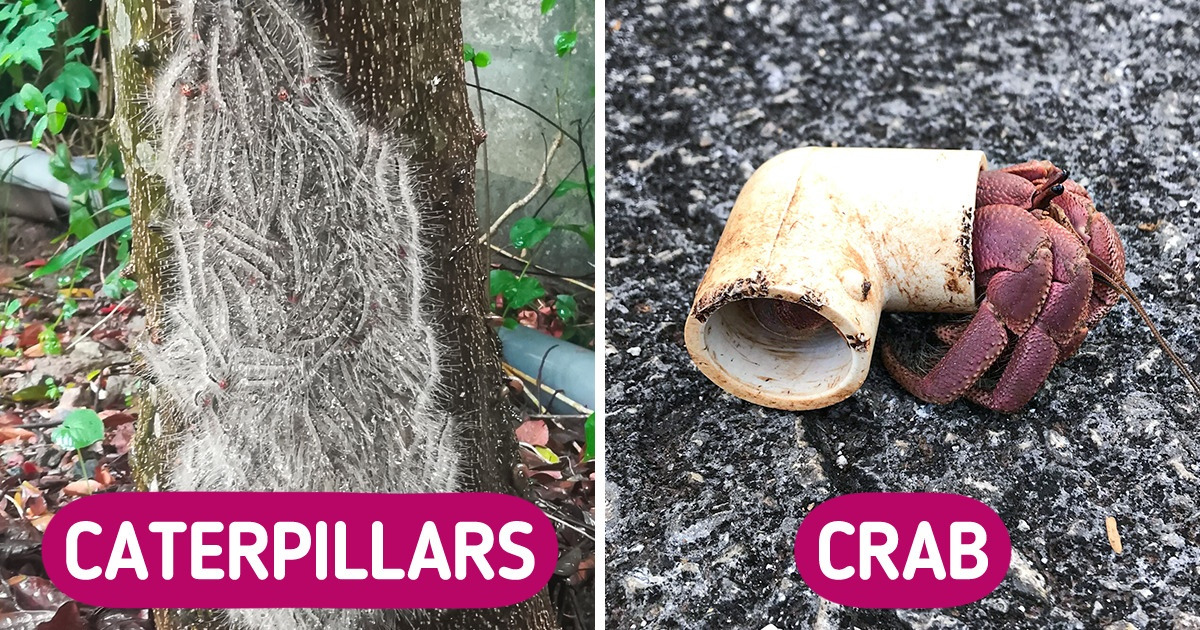 18 Photos That Show Nature From a Side You’ve Hardly Seen
