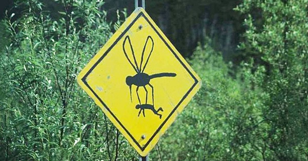 [Image: 91d53f5dee937289239535d56d.jpg]