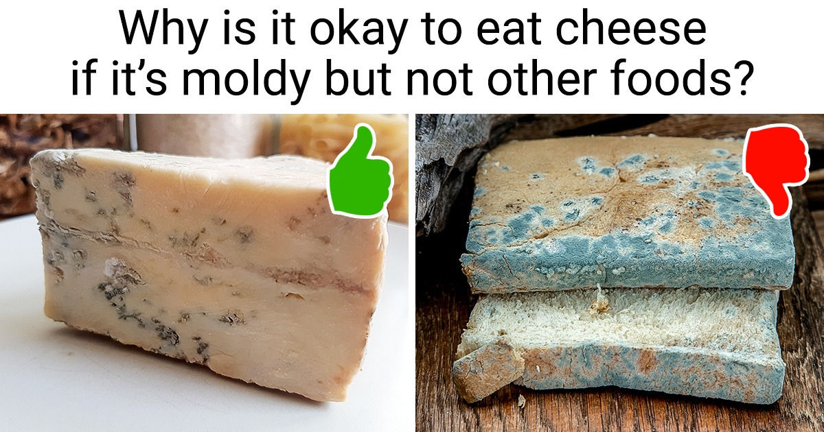 10 Questions Everyone Has but Few Can Answer 10 Questions Everyone Has but Few Can Answer