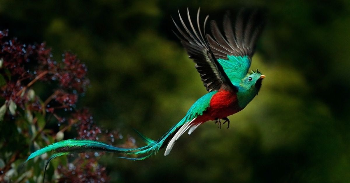 30 Stunning Shots to Celebrate World Photography Day