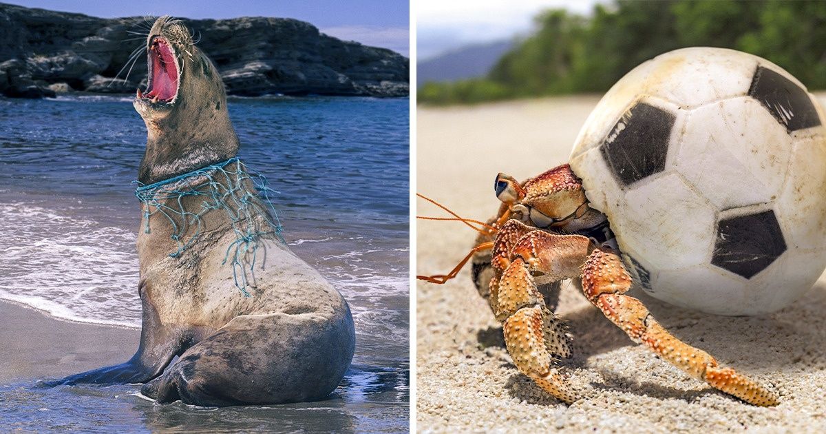 21 Sobering Photos That Show Humanity Has Reached the Peak of Its Indifference 21 Sobering Photos That Show Humanity Has Reached the Peak of Its Indifference