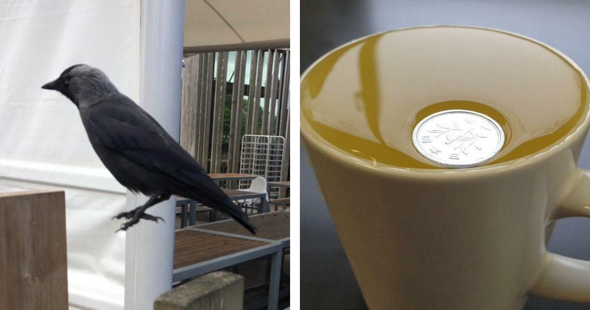 19 Photos That’ll Make You Doubt the Laws of Physics