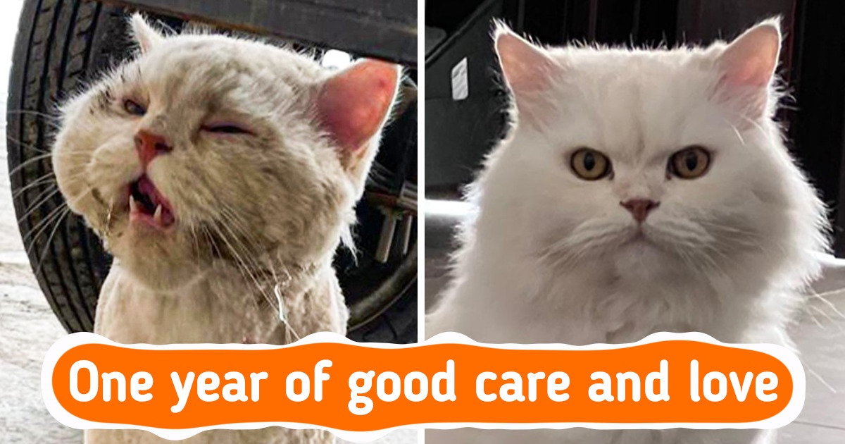 18 Times People Helped to Make the World a Much Brighter Place