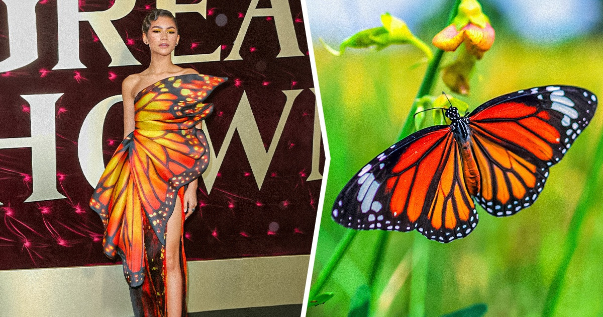 15 Celebrities Featuring Animal-Inspired Outfits to Prove Nature Is the Best Source of Inspiration