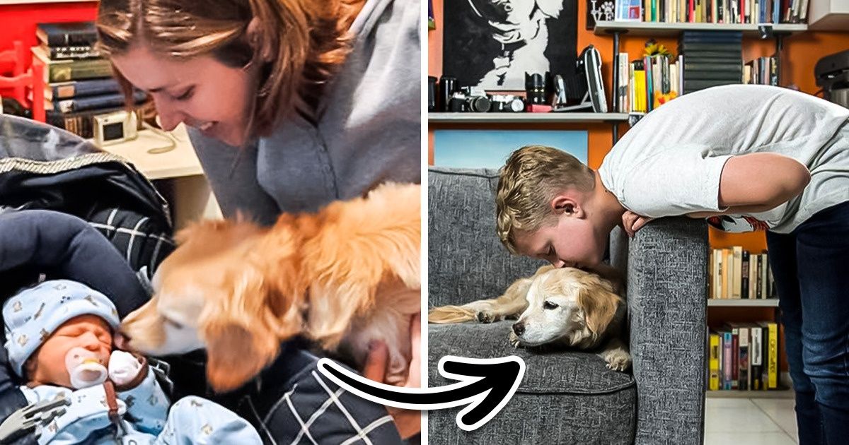 22 Photos That Prove Time Can’t Erase True Love