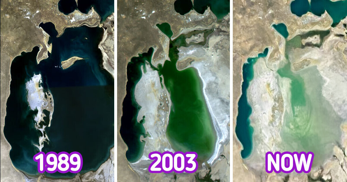 18 Proofs of How the World Around Us Can Awfully Transform Into Something We Never Thought Before