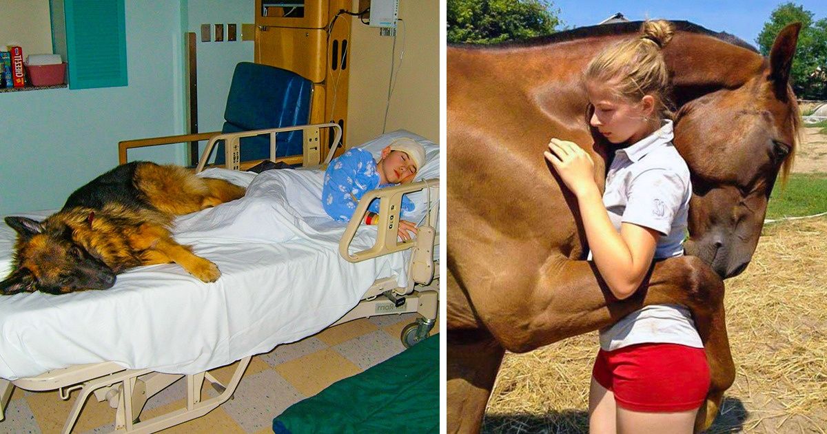 17 Heart-Touching Photos That Prove True Love and Friendship Will Live Forever