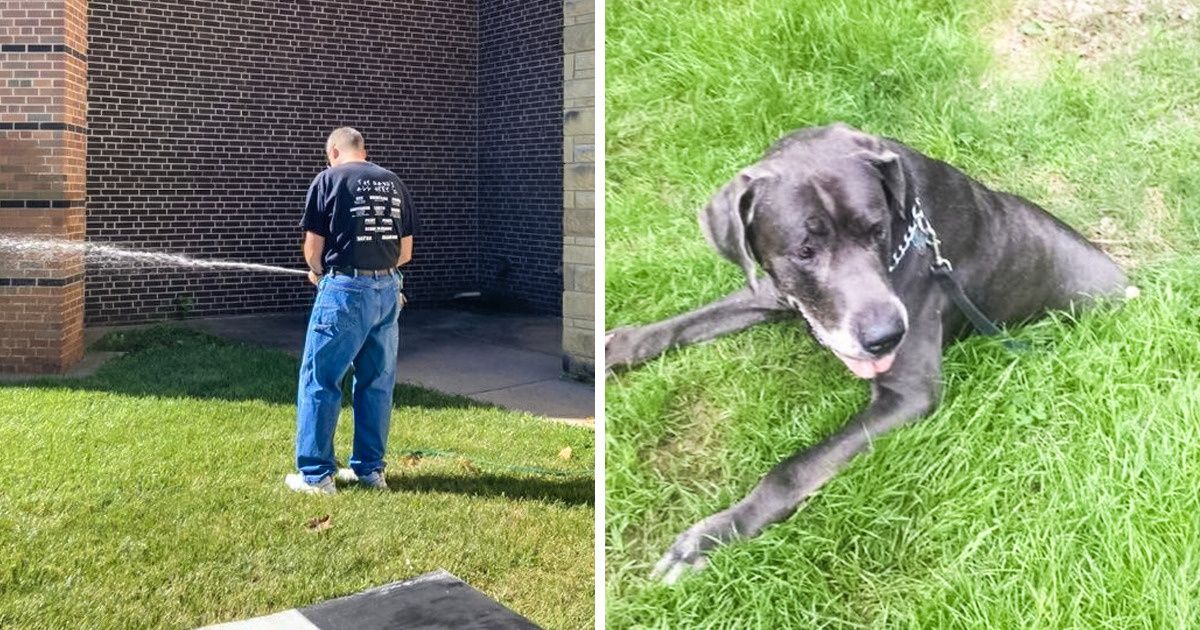 18 Pics That Can Totally Deceive Your Mind and Eyesight