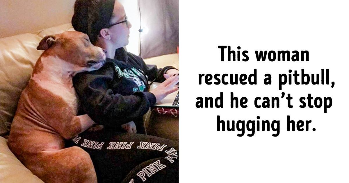31 Animal Photos That Can Make You Feel Warm Even on a Freezing Day