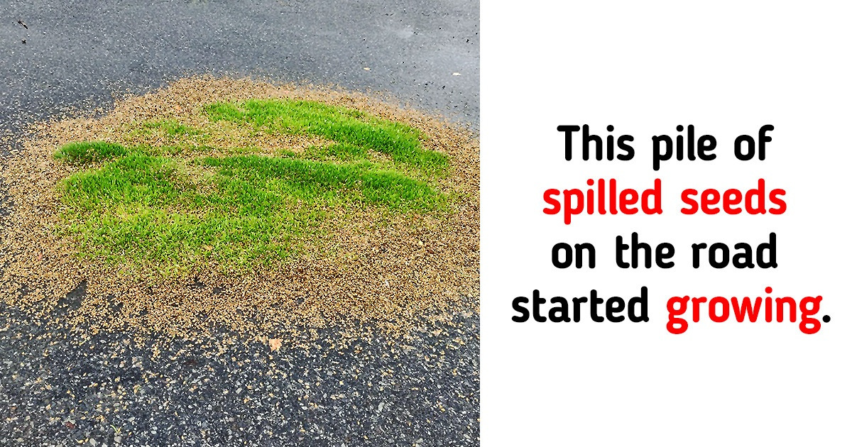 20+ People Who Stumbled Upon Unusual Sights