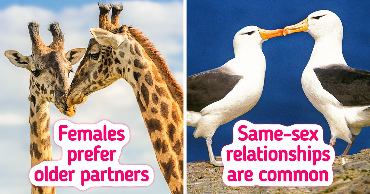 10 Animal Facts That Even Charles Darwin Would Love to Know 10 Animal Facts That Even Charles Darwin Would Love to Know