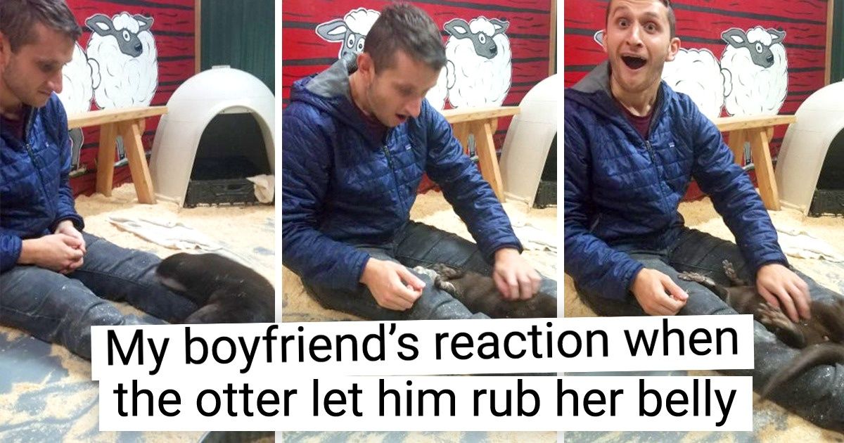 19 Photos That Are Guaranteed to Put a Smile on Your Face