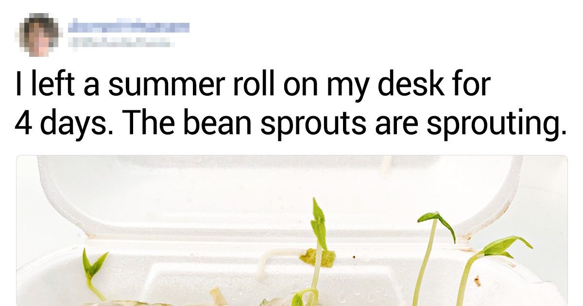 18 Photos That Look Like Good Fakes but Are Actually Real