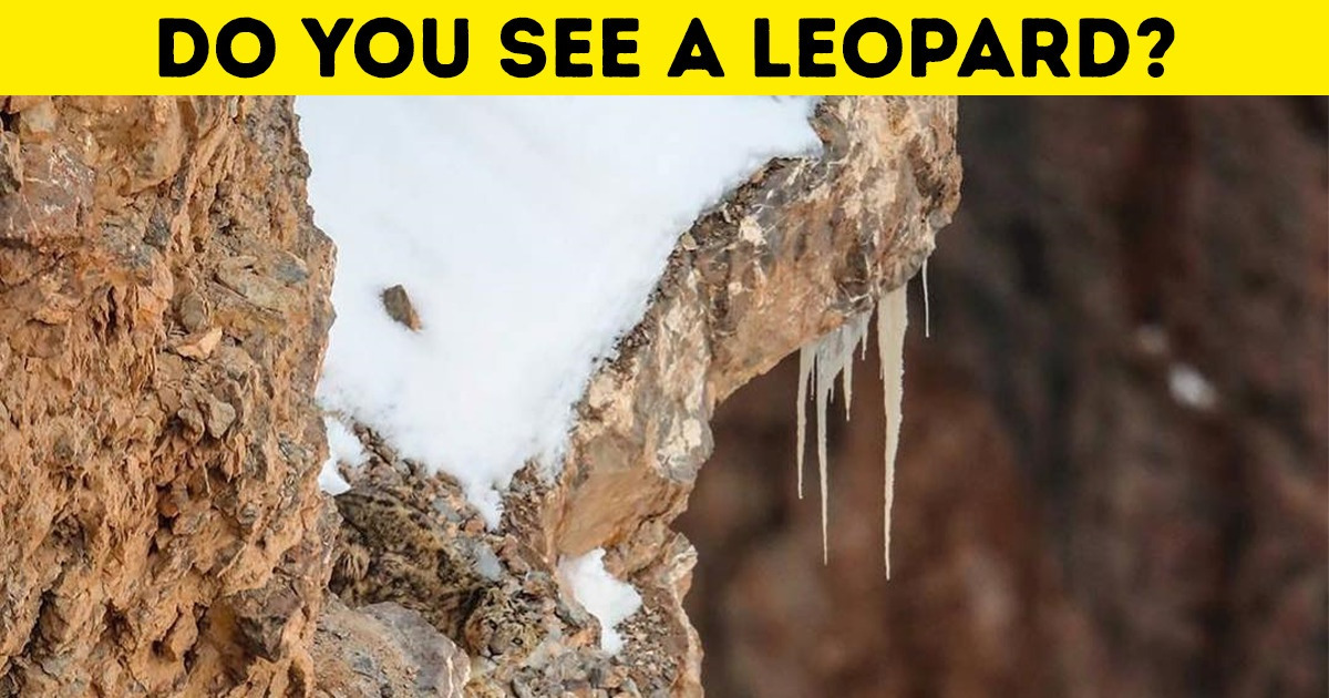 18 Photos You Have to Look Several Times at to Catch All the Details 18 Photos You Have to Look Several Times at to Catch All the Details