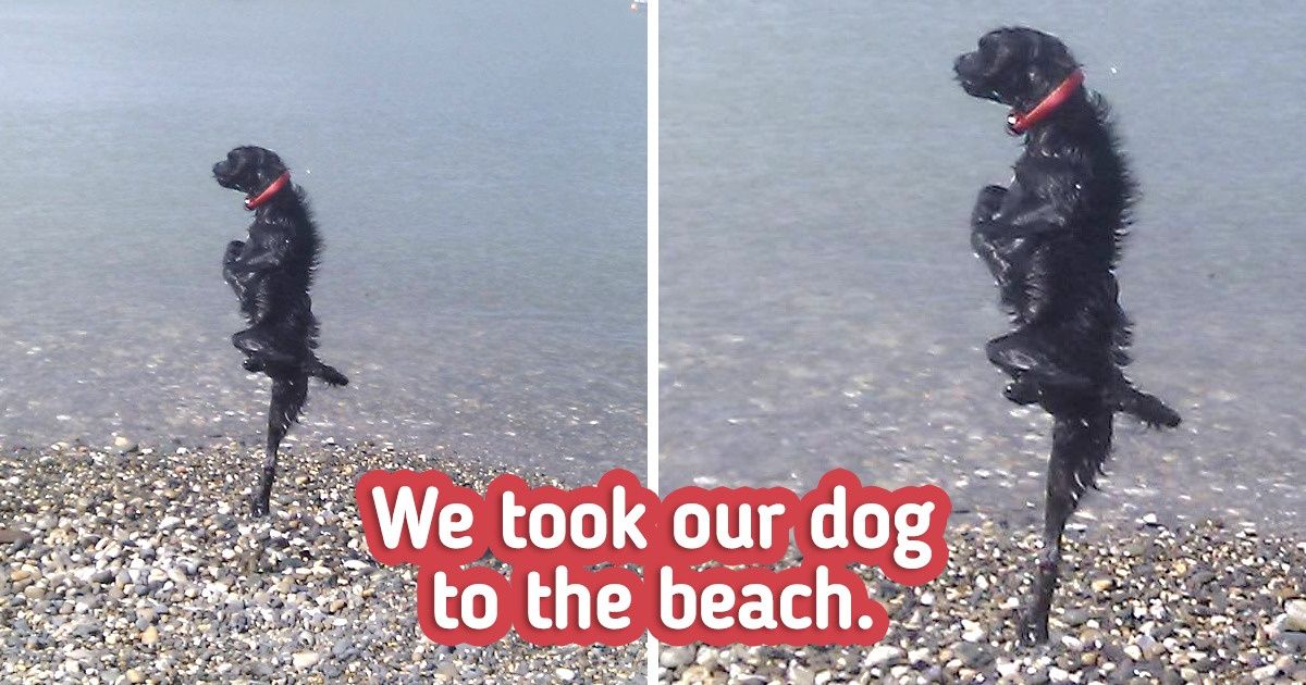 15 Photos That We Need Separate Instructions to Understand