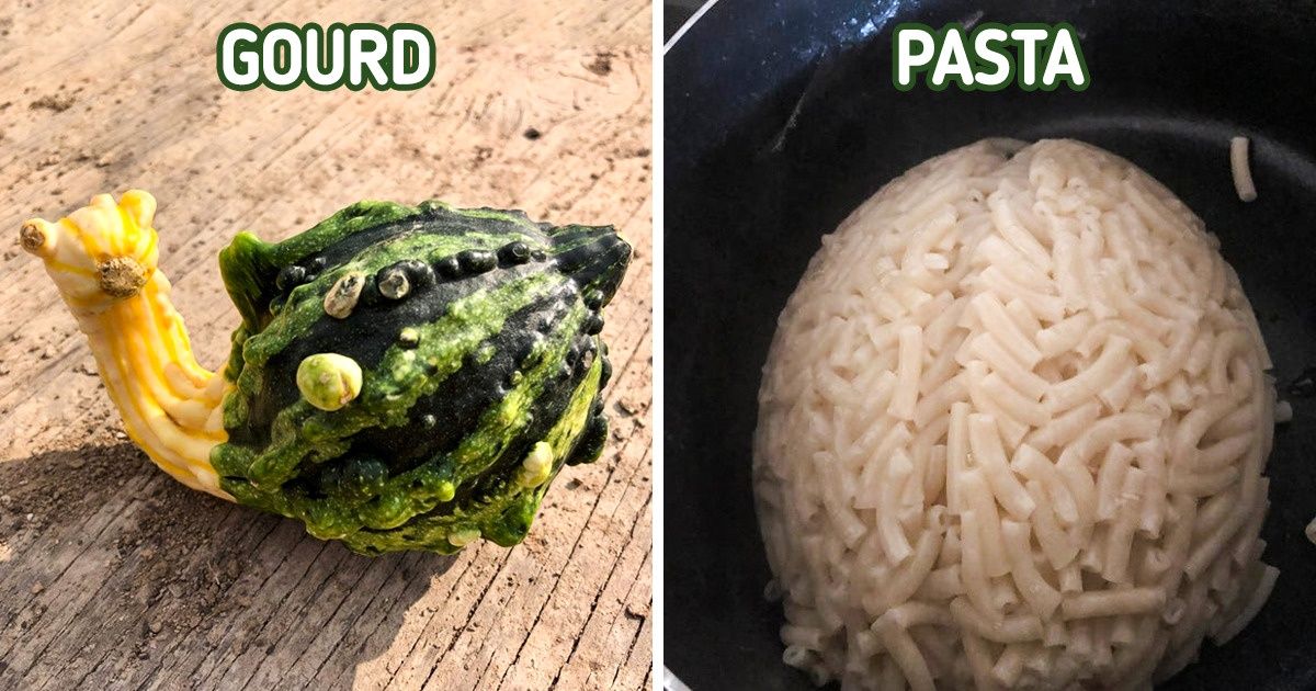 15 Photos That Tricked Us Into Thinking They Were Something Else