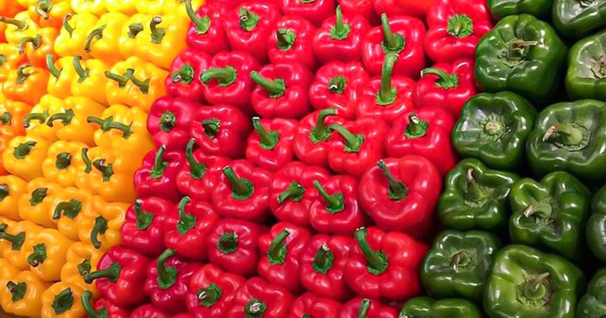 14 Photos That Will Make the Perfectionist in You Feel Good