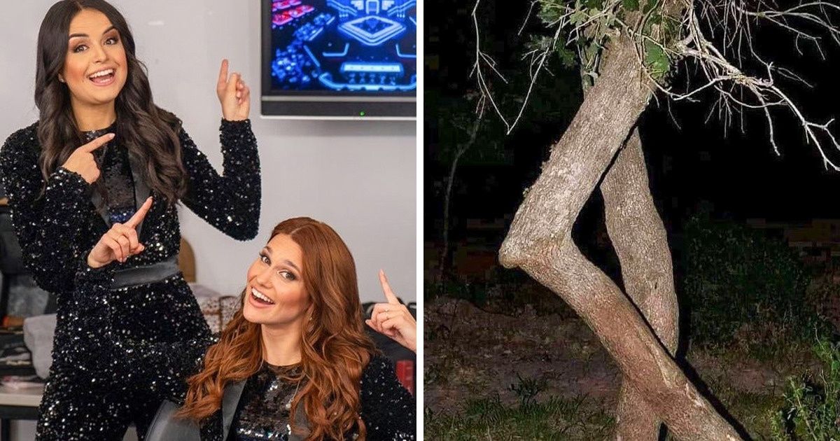 17 Times People Saw Something That Left Them Mystified 17 Times People Saw Something That Left Them Mystified