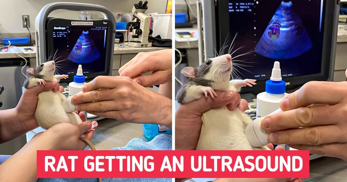 15+ Pics That Made Us Squeal at Their Tenderness 15+ Pics That Made Us Squeal at Their Tenderness