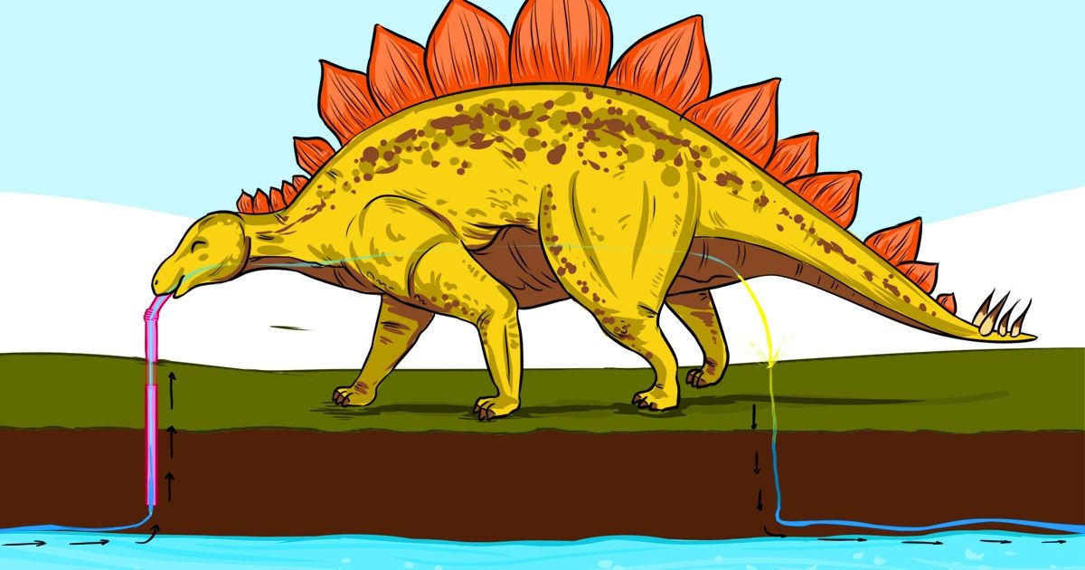15 Facts Proving How Little We Actually Know About the World Around Us